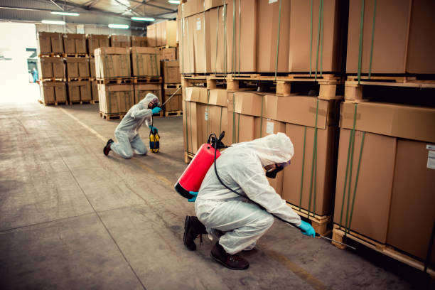 Best Pest Removal Services  in North Terre Haute, IN