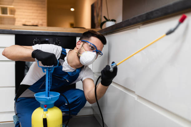 Best Emergency Pest Control  in North Terre Haute, IN