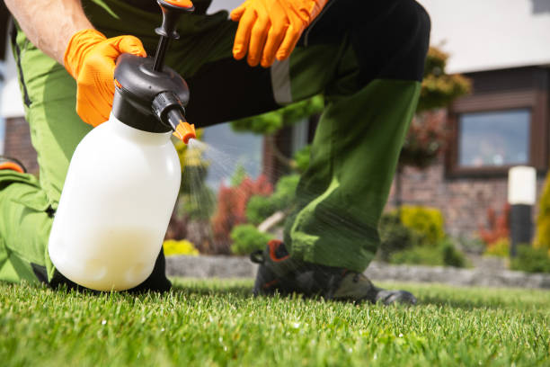 Professional Pest Control in North Terre Haute, IN